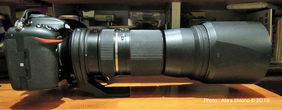 D500_T150-600Rs