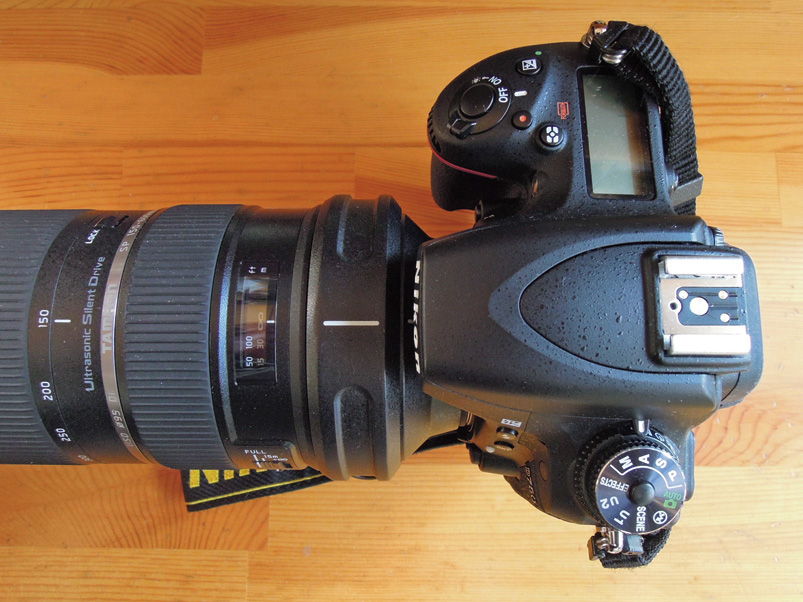 ニコンD750 実写編／/撮影範囲をひろげたフルサイズ一眼レフカメラ 