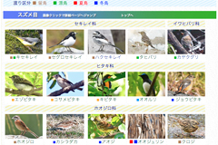 野鳥サイト(100種)